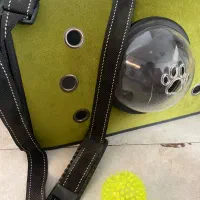 باکس گربه