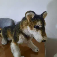 عروسک سگ|اسباب‌‌بازی|کرمانشاه, |دیوار