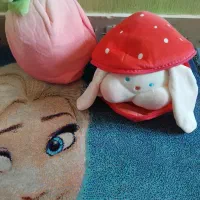 عروسک|اسباب‌‌بازی|شیراز, زرهی|دیوار