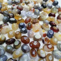 باباقوری طبیعی  ( 150 عدد گلچین شده )