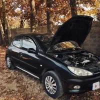 206 تیپ دو کارمندی کم مصرف|خودرو سواری و وانت|صدرا-فارس, فاز ۲|دیوار