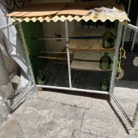 قفس پرنده