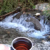 زمین شاپورجان حسن اباد فروش فوری زیر قیمت