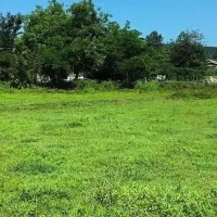 فروش زمین مسکونی ۲۵۰متری