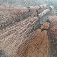 جارو دستی|لوازم نظافت|سلماس, |دیوار