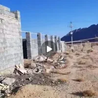 زمین-تنگ-چنار