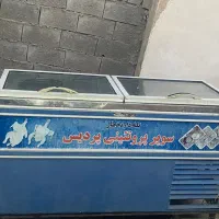 فریزر ۵۰۰کیلویی استیل|یخچال و فریزر|لامرد, |دیوار