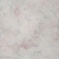 چادر|لباس|نیشابور, کوی حسینی|دیوار