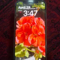 آیفون ۱۲ پرو|موبایل|رشت, آزادگان|دیوار