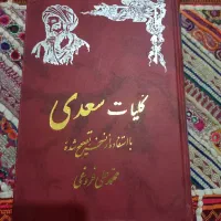 کلیات سعدی|کتاب و مجله ادبی|شیراز, گل سرخ|دیوار