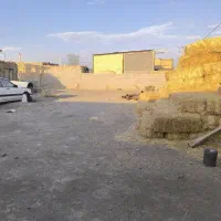 فروش یک کارگاه تیرچه بلوکی یا گاوداری|فروش دفتر صنعتی، کشاورزی، تجاری|شهرضا, |دیوار