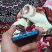 آیفون 13نرمال|موبایل|برازجان, |دیوار