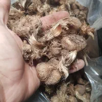 پیاز زعفران|خدمات باغبانی و درختکاری|شیراز, ارم|دیوار