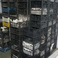 سبد قارچ و میوه سالم