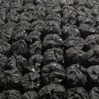 کارگر خانوم برای کارگاه بسته بندی زغال|استخدام صنعتی، فنی، مهندسی|اصفهان, قهجاورستان|دیوار