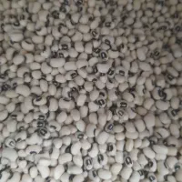 حبوبات خورده وعمده با قیمت استثنایی|عمدهفروشی|مرودشت, علیآباد|دیوار