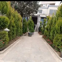 خدمات باغبانی گلکاری تعویض خاک گلدان تهران در محل