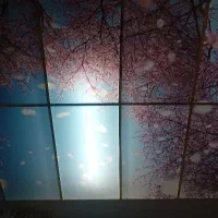 پذیرش پرستار از سالمند