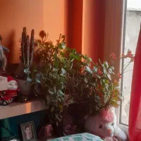 نیاز به راهنمایی و حمایت