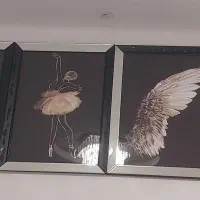 نوسالم فقط۷۰۰