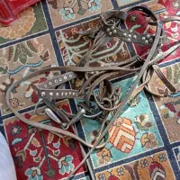 دهنی وزین اسب|اسب و تجهیزات اسب‌سواری|بیرجند, |دیوار