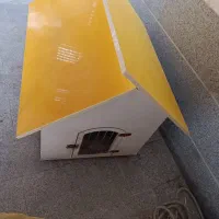 یک عدد سگ پا کوتاه|سگ|صباشهر, |دیوار