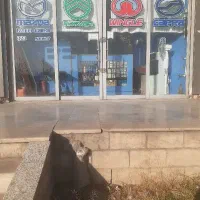 لوازم یدکی کاپرا.نارون.دلیکا.کارا.مزدا۲۰۰۰|خدمات خودرو و موتورسیکلت|تهران, مسعودیه|دیوار