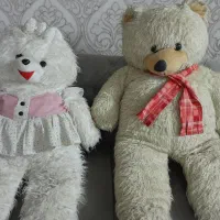 خرس شاسخین و خانوم زیبایش