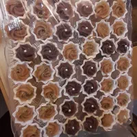 حلوا مجلسی وتزیین خرما