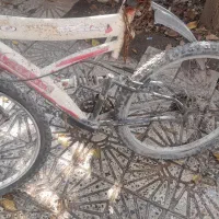 دوچرخه ۲۶|دوچرخه، اسکیت، اسکوتر|تالش, هشتپر|دیوار