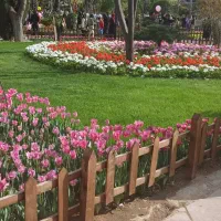 زمین ۳۰۷ متر