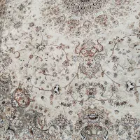 فرش ۱۲متری|فرش|رشت, گلباغ نماز|دیوار