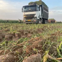 اکسور دهچرخ