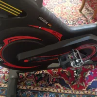 دوچرخه ثابت فدرال آلمانی|تجهیزات ورزشی|فردیس, قریشی|دیوار