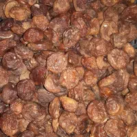 قیصی زردآلوکشمش شیره انگور دوشاب|خوردنی و آشامیدنی|مشگین شهر, |دیوار