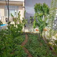 اجاره ویلا باغ|اجارهٔ کوتاهمدت ویلا و باغ|یزد, |دیوار