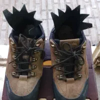 کفش کوهنوردی|کیف، کفش، کمربند|کرمان, |دیوار