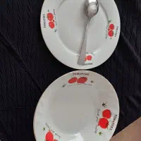 ظروف چینی|ظروف سرو و پذیرایی|زنجان, |دیوار