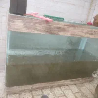 آکواریوم سکوریت|ماهی|مشهد, ابوذر|دیوار