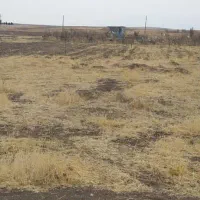 ۱۲۵۰ متر زمین چسب طرح هادی سیاه بید علیا|فروش زمین و ملک کلنگی|کرمانشاه, |دیوار