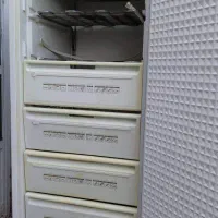 فریزر پارس