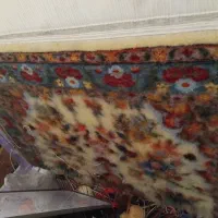 قالیچه نیمه کاره استاد بافت|فرش|ابهر, |دیوار