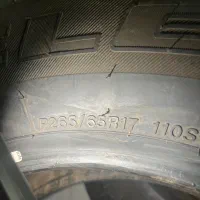 لاستیک پرادو