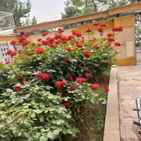 آپارتمان ۵۸ متر _ تک خواب_ فول