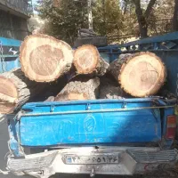 خرید و فروش انواع چوب سقفی و هرس باغات