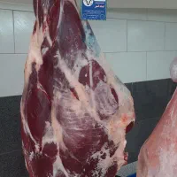 قصاب تکه کار مرغ و ماهی