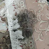 فرش ۱۲ متری روشن گل برجسته|فرش|بابلسر, |دیوار