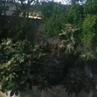 پاسداران ویلایی دونبش بهترین موقعیت مکانی