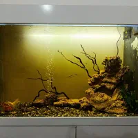 آکواریوم ۱ متری