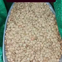 بشتابید بشتابید فروش فوق العاده|جواهرات|دوگنبدان, |دیوار